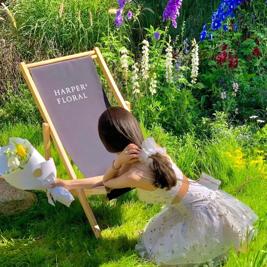 地平线系列：止痛药上瘾